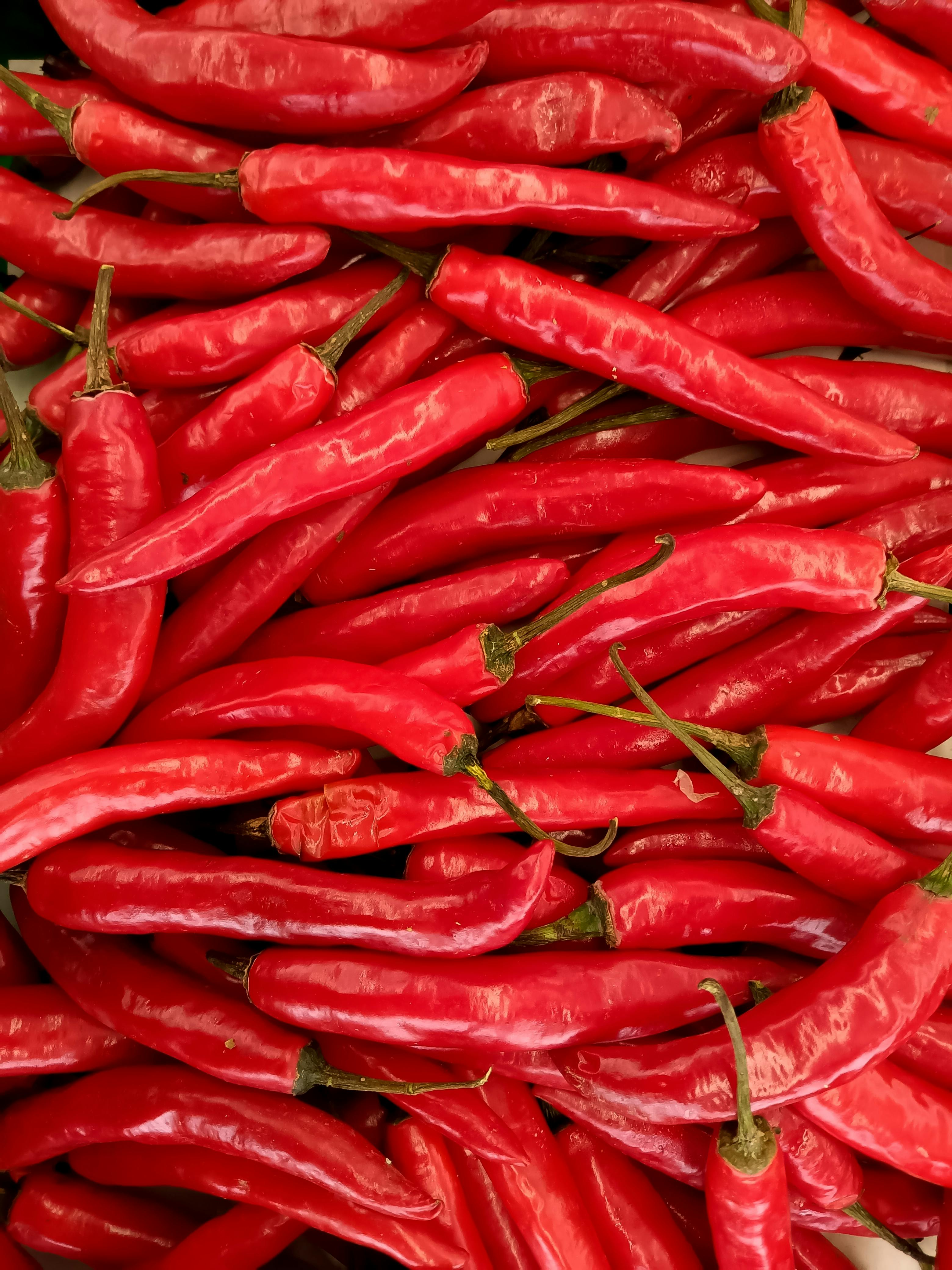 Chilli